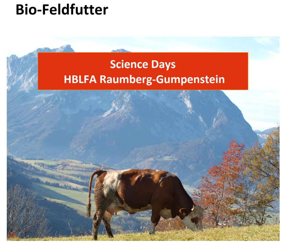 Titelbild des Handouts, Rind auf Weide mit Gebirge im Hintergrund