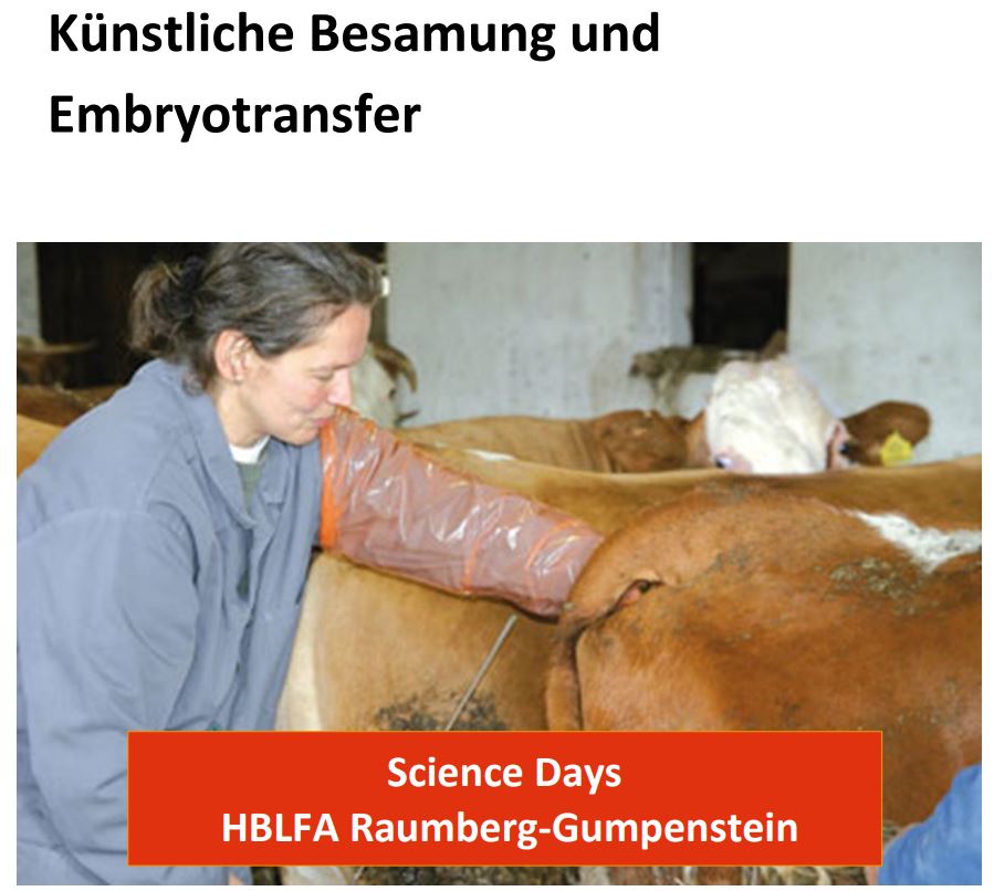 pflanzstab geschmiedet Pflanzstab - Spirale