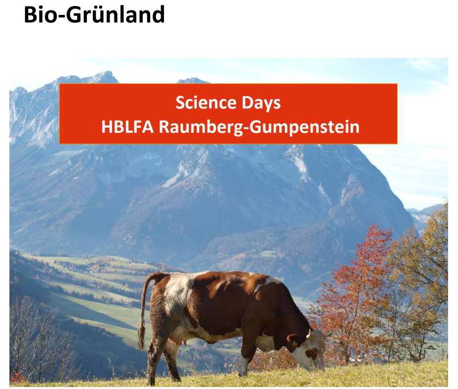 Titelbild des Handouts, Rind auf Weide mit Gebirge im Hintergrund
