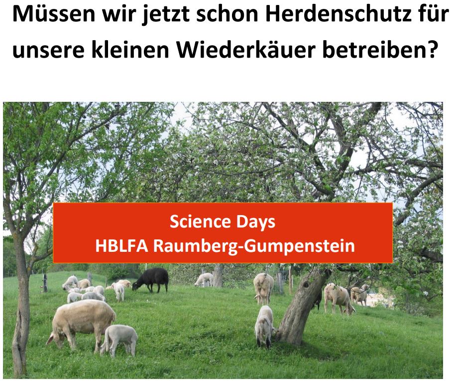Titelbild des Handouts, Schafe auf Weide unter Bäumen