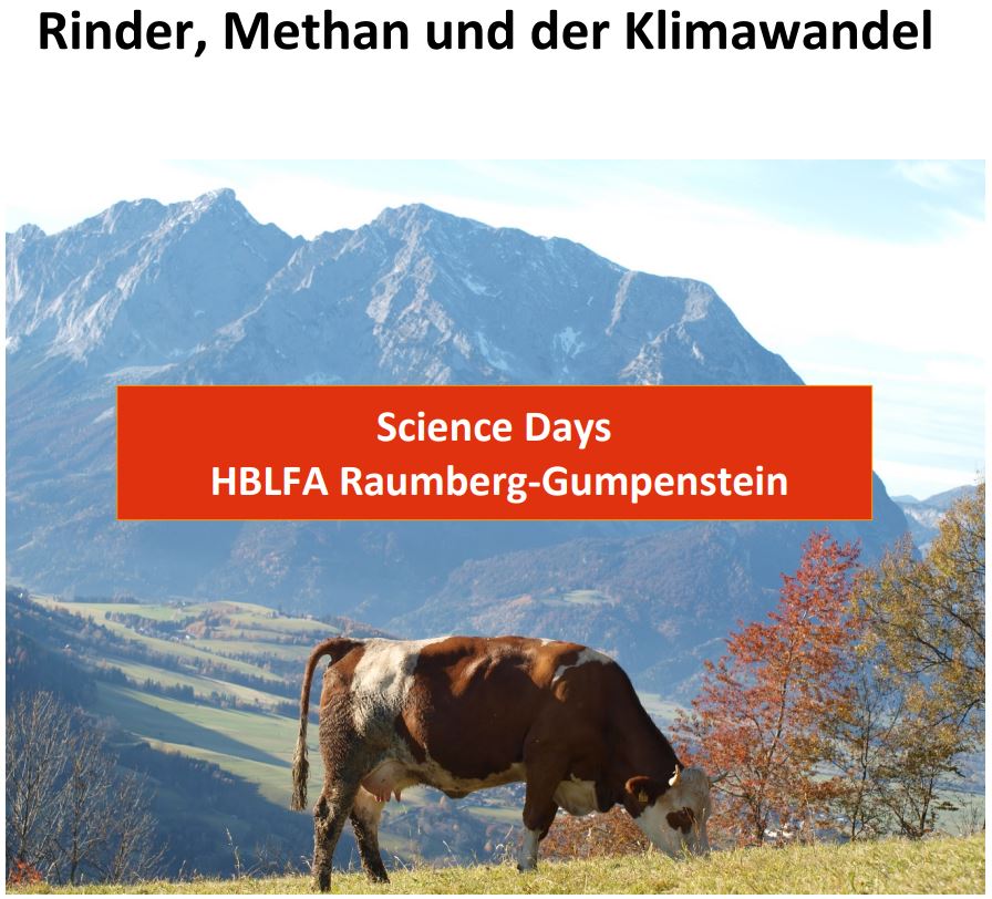 Titelbild des Handouts, Rind auf Weide mit Gebirge im Hintergrund