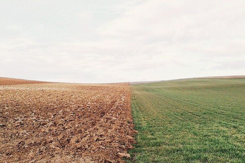 Links ein dürres Feld und rechts ein saftig grünes Feld