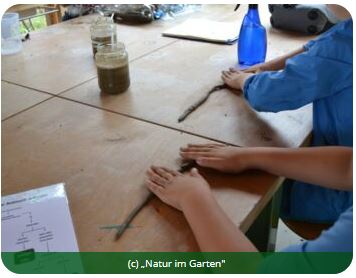 Kinderhände beim Formen von Bodenstoffen