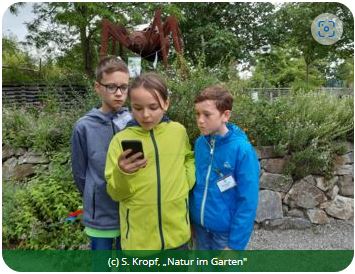 Kinder sind im Garten und schauen auf Smartphone
