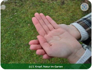 Kinderhand hält einen Wassertropfen