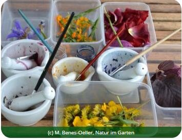 Farbtöpfe mit Blüten