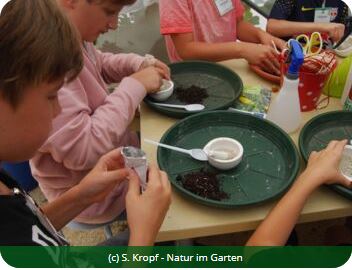 Kinder beim Samenbomben basteln