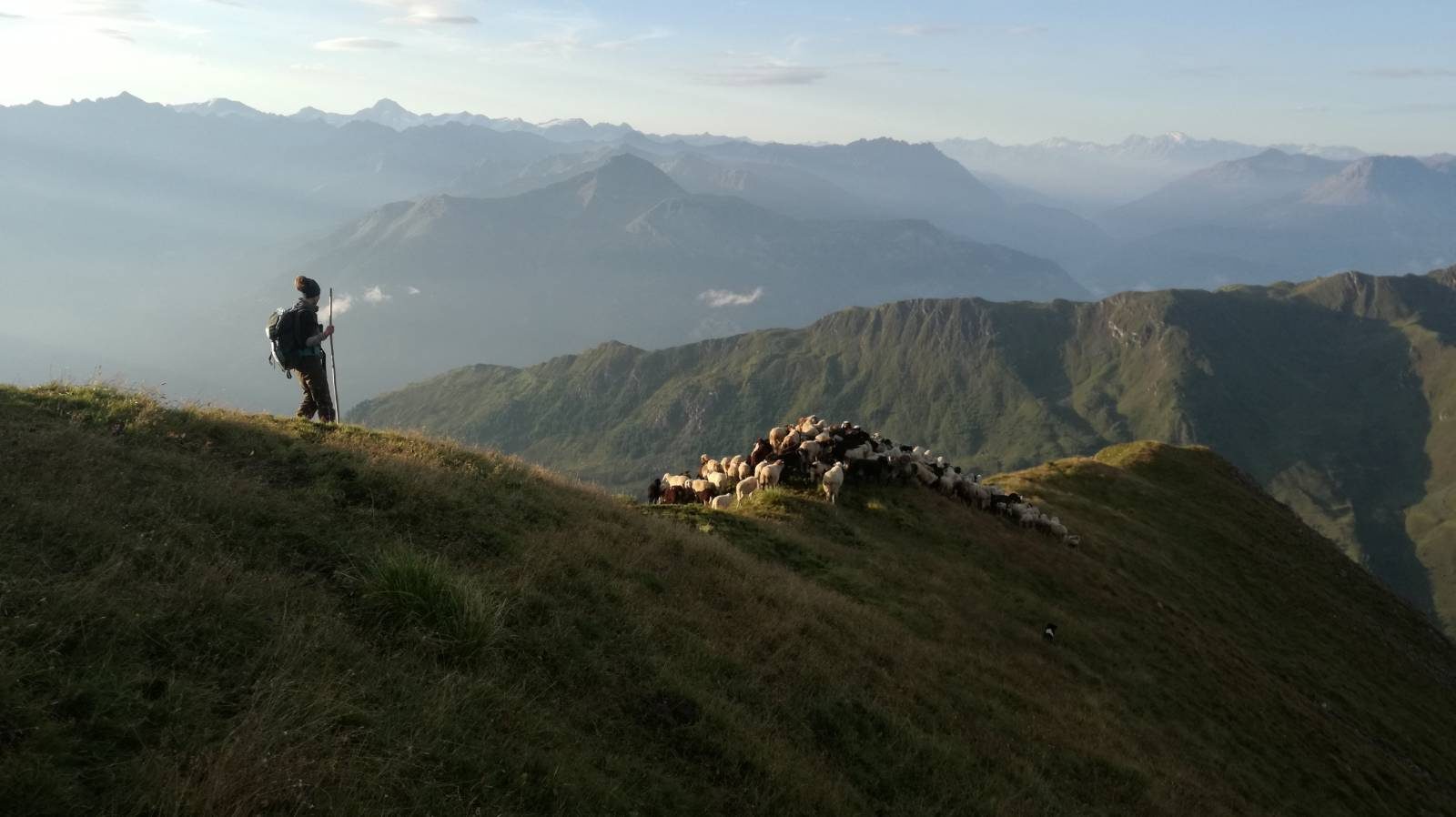 Ein Hirte auf der Alm