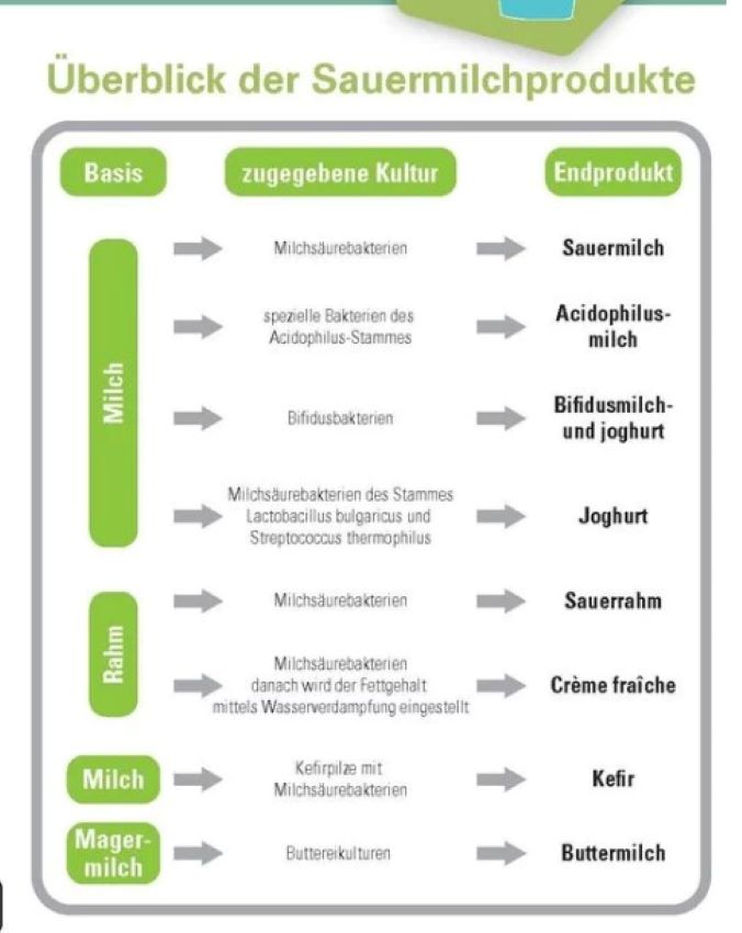 Ausschnitt vom Arbeitsblatt - Überblick der Sauermilchprodukte