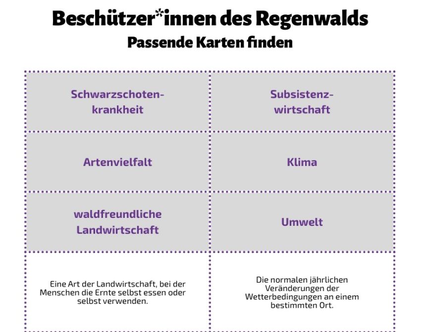 Ausschnitt vom Arbeitsblatt Beschützer:innen des Regenwalds