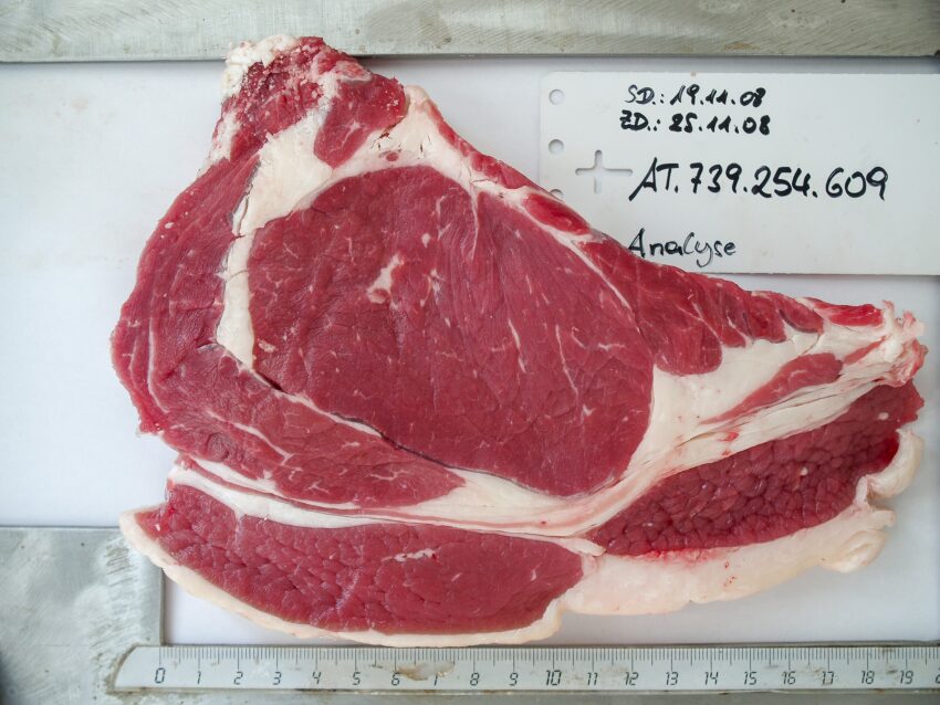 Stück rohes Fleisch an dem gerade eine Analyse durchgeführt wird - Größe, Herkunft usw.