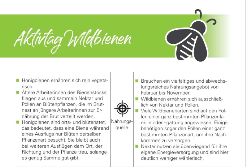 Ausschnitt vom Arbeitsblatt mit einer Grafik in Form einer Biene darauf