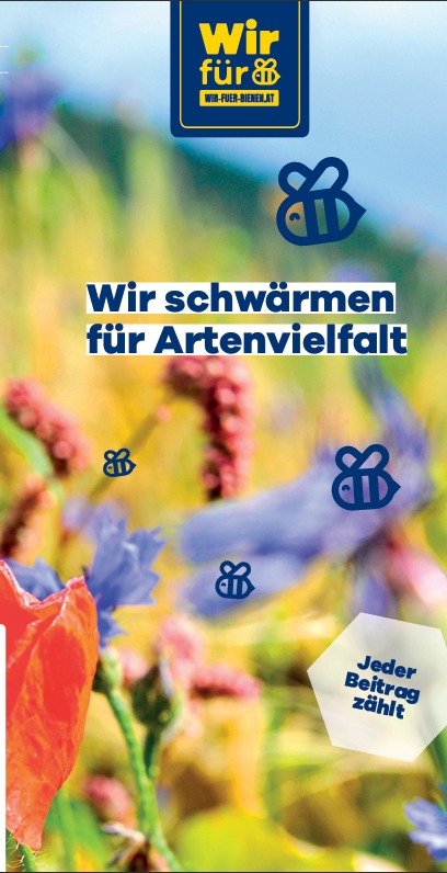 Deckblatt Folder mit Wiesenblumen und Grafiken in Form von Bienen