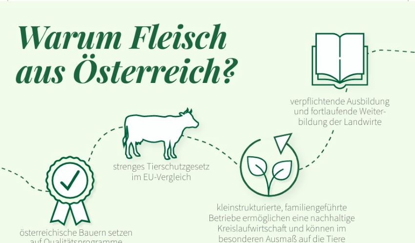 Grafik mit Text und einer Kuh und die Vorteile warum man Fleisch aus Österreich beziehen sollte