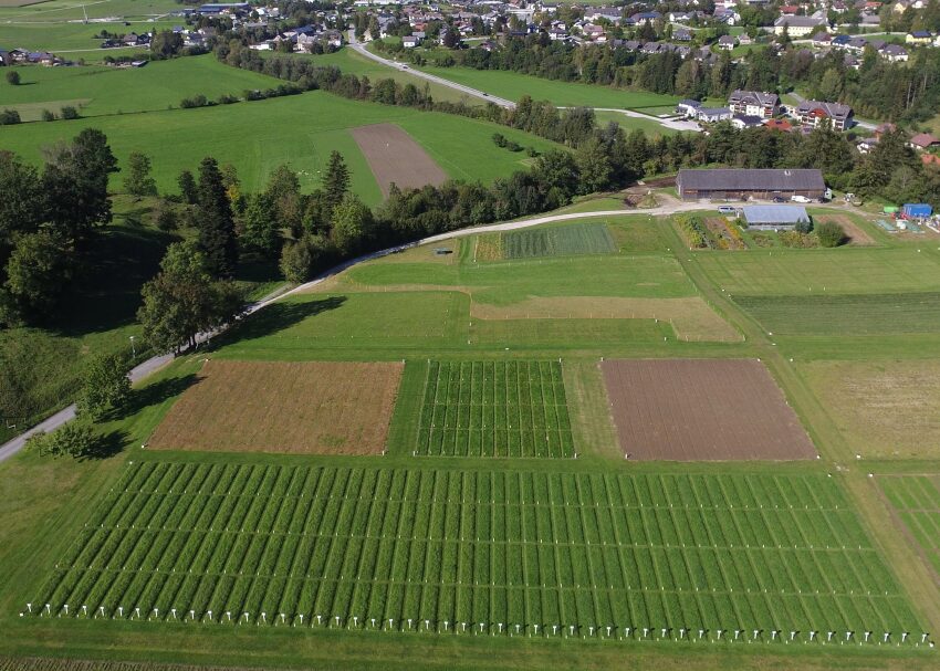 Bewirtschaftete Felder und dahinter eine Stadt