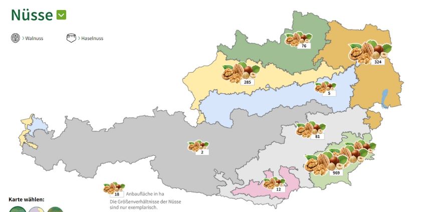Österreichkarte mit Anzahl der Anbaufläche von Nüssen in Österreich