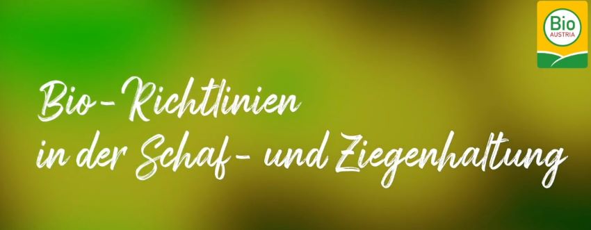 Einstimmungsbild Podcast