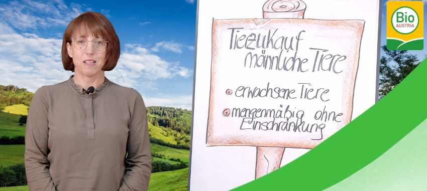 Einstimmungsbild Podcast