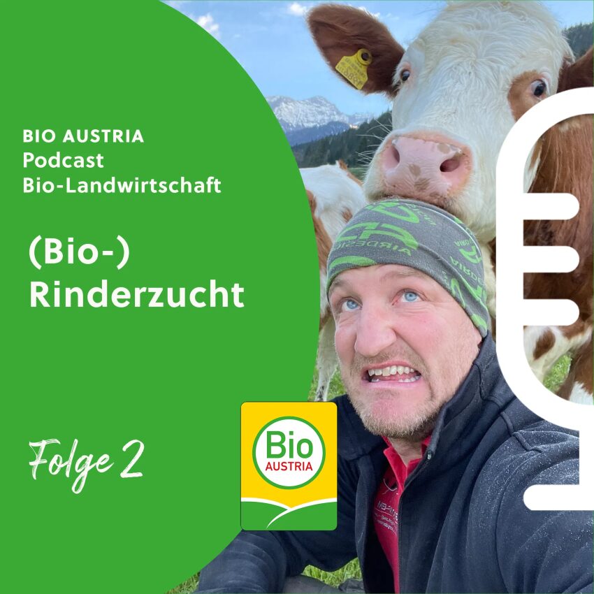 Bild zum Podcast mit einem Landwirt und eines seiner Rinder auf der Weide