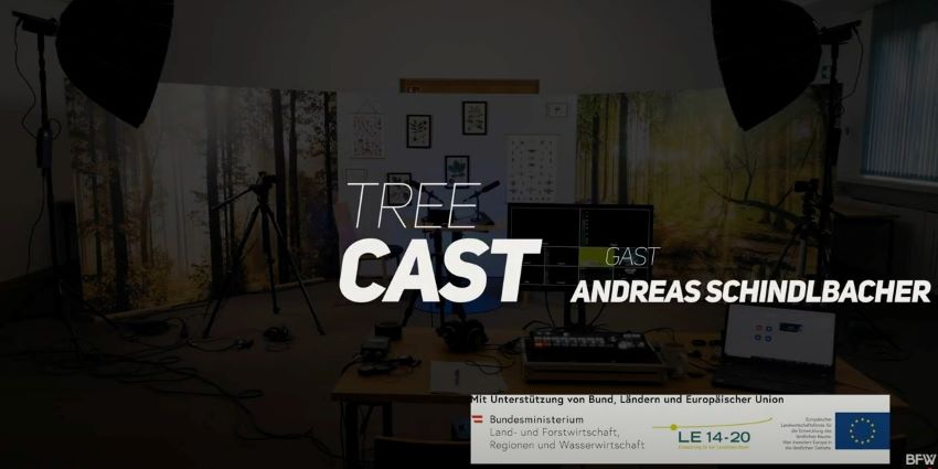 Einstimmungsbild zum Podcast