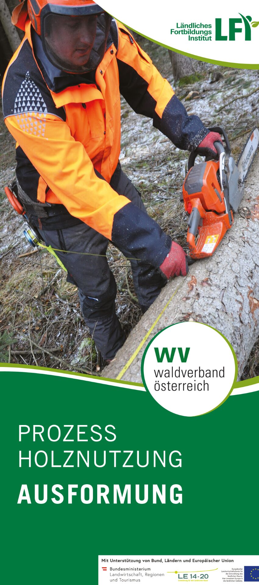 Ein Forstarbeiter bei der Ausformung eines Baumstammes.