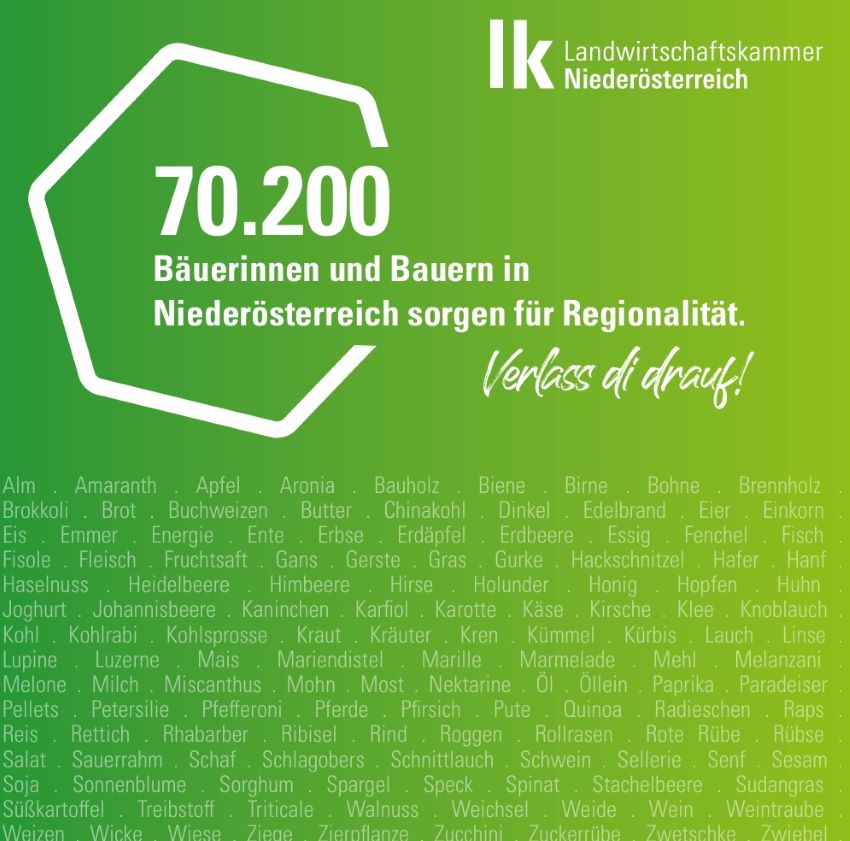 Deckblatt Broschüre - grüner Hintergrund, weißer Schriftzug