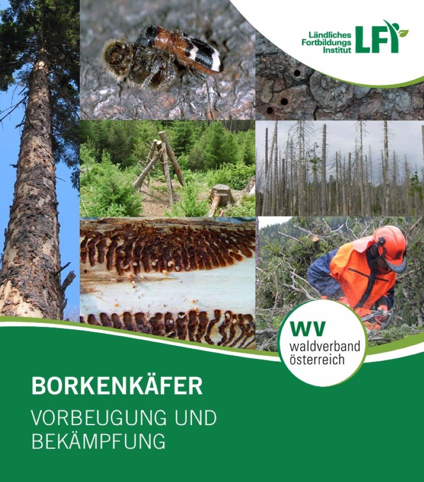 Deckblatt der Broschüre mit Forstarbeiter, Borkenkäfer und seine Larven, befallene bzw. beschädigte Bäume.