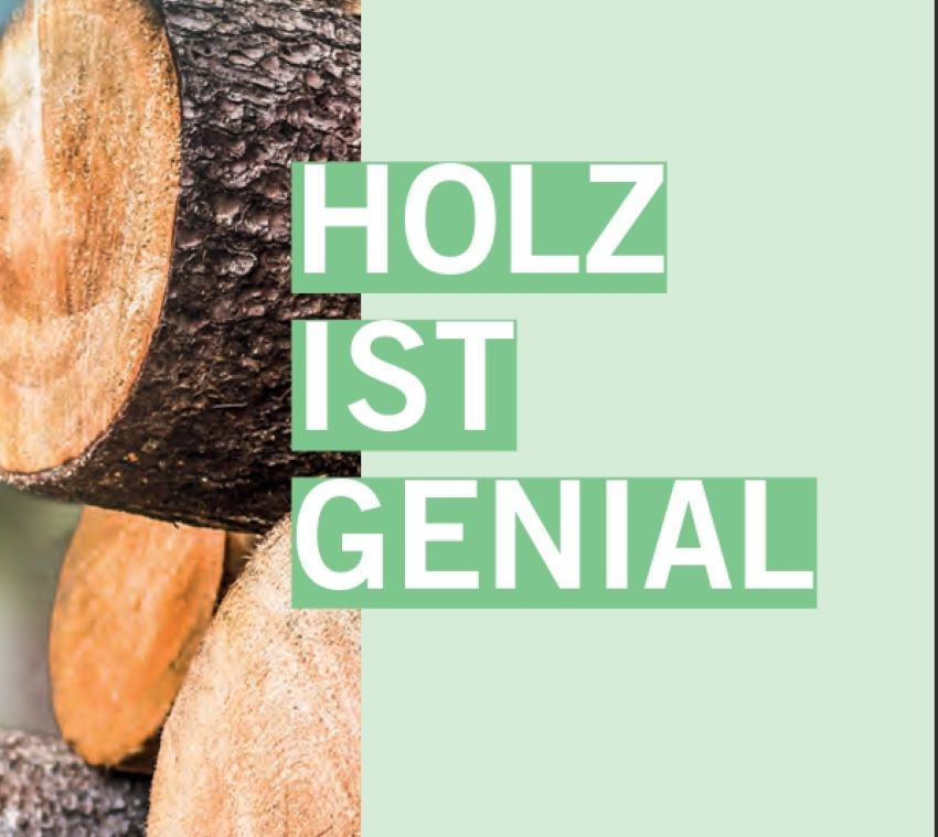 Deckblatt der Broschüre - man sieht Rundholz.