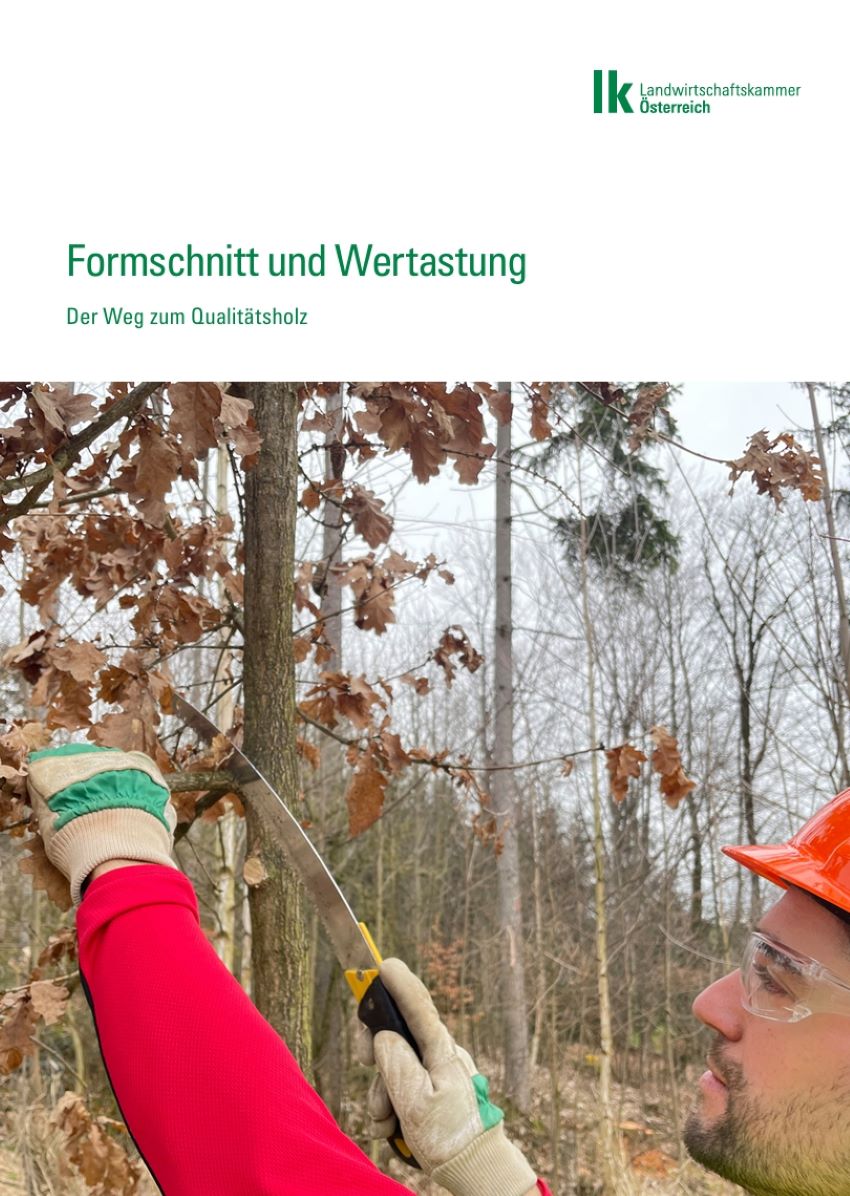 Deckblatt der Broschüre mit einem Forstarbeiter der gerade einen Ast absägt