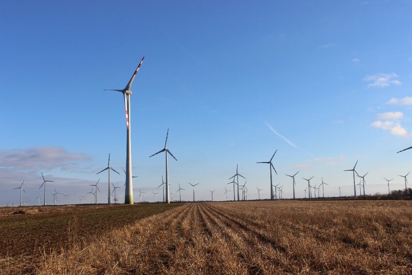 Windräder auf einem Feld