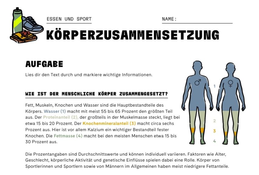 Ausschnitt vom Arbeitsblatt mit einer Grafik von Mann und Frau und deren Körperzusammensetzung