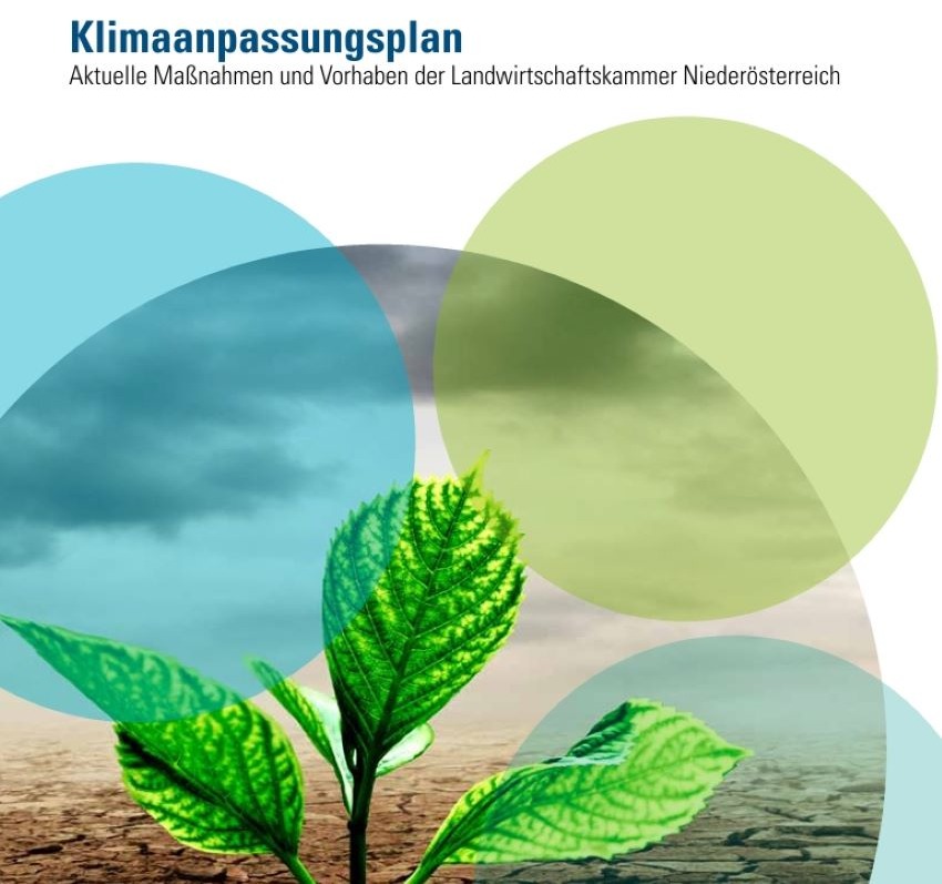 Deckblatt der Broschüre zum Thema Klimaanpassungsplan mit Kreisen in verschiedenen Grün- und Blautönen und einer Pflanze