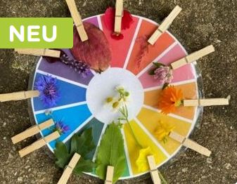 Farbkreis mit Blüten in der jeweiligen Farbe darauf