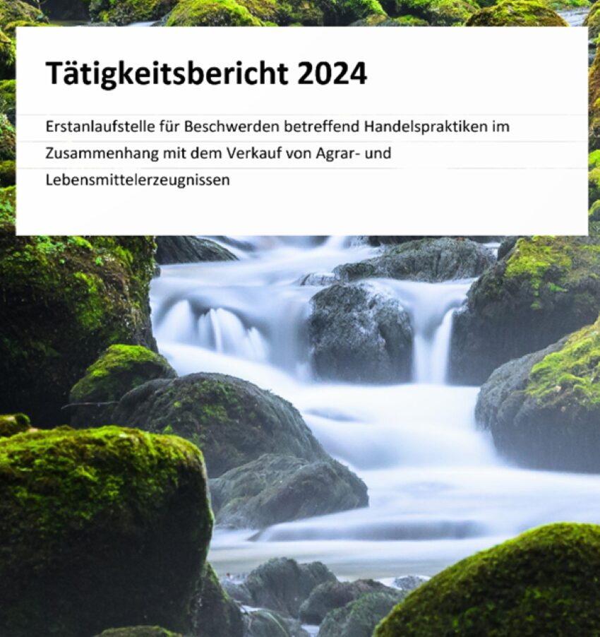 Deckblatt des Tätigkeitsbericht 2024 - darauf sieht man ein Flussbett mit kleinen Wasserfällen zwischen moosigen Felsen