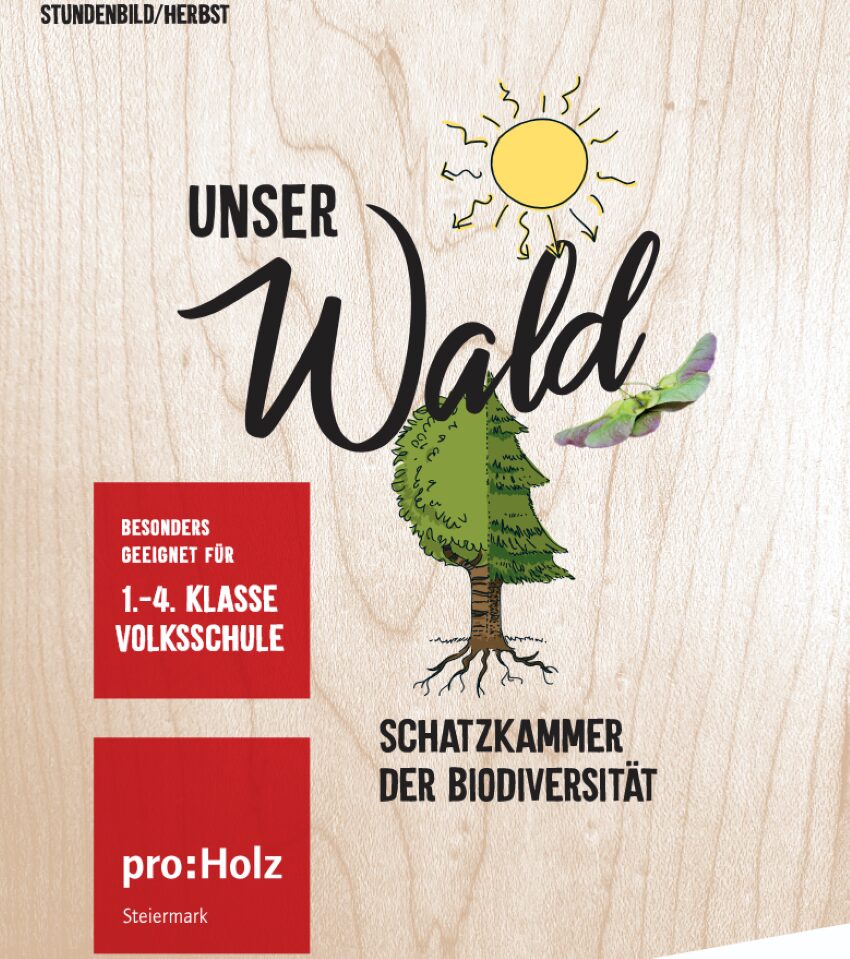 Auf dem Bild sieht man eine Grafik von einem Baum mit seinen Wurzeln der zur Hälfte ein Laubbaum und zur anderen Hälfte ein Nadelbaum ist, darüber sind die Samen von einem Ahorn zu sehen und ganz oberhalb sieht man die Sonne