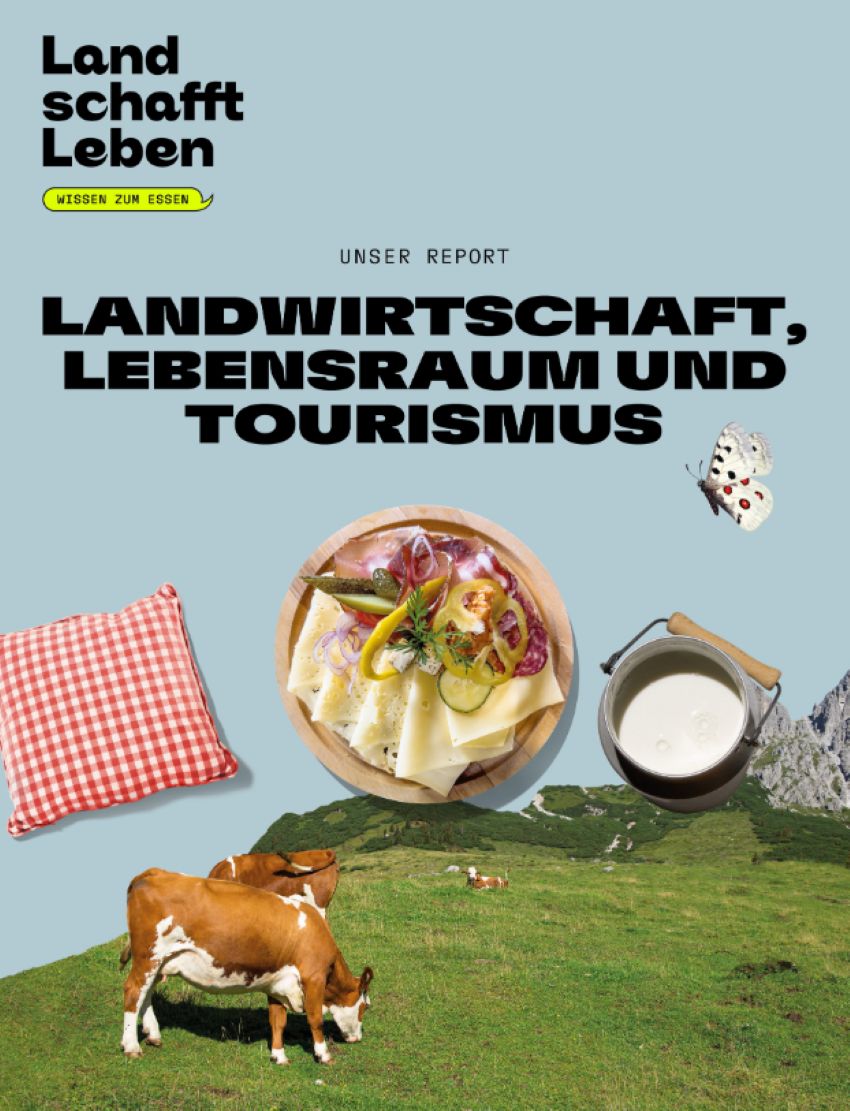 Titelbild vom Report 'Landwirtschaft, Lebensraum und Tourismus' zu sehen ist eine Alm mit Rindern, ein Schmetterling, eine Milchkanne, eine Jausenplatte sowie ein Kissen