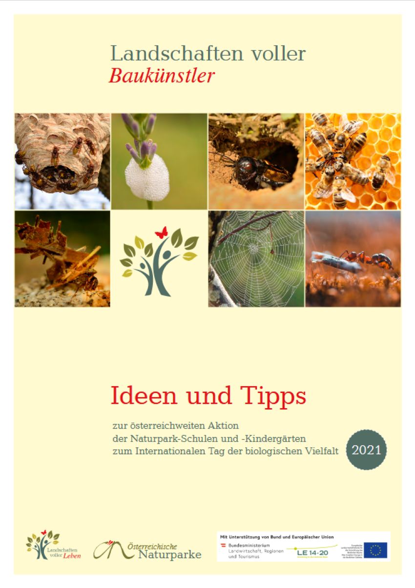 Deckblatt der Broschüre - verschiedene Baukünste von Tieren
