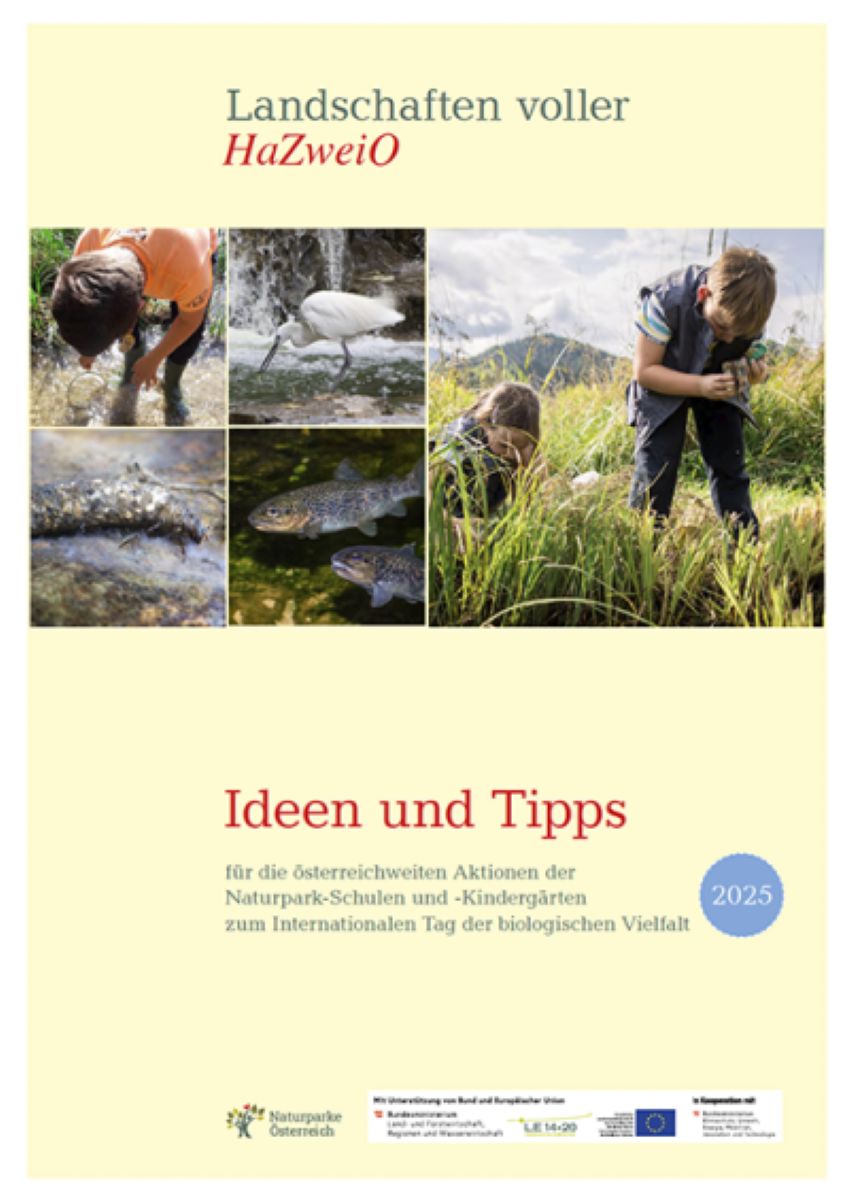 Deckblatt der Broschüre mit Tieren die am bzw. im Wasser leben und Kinder, die diese erforschen 