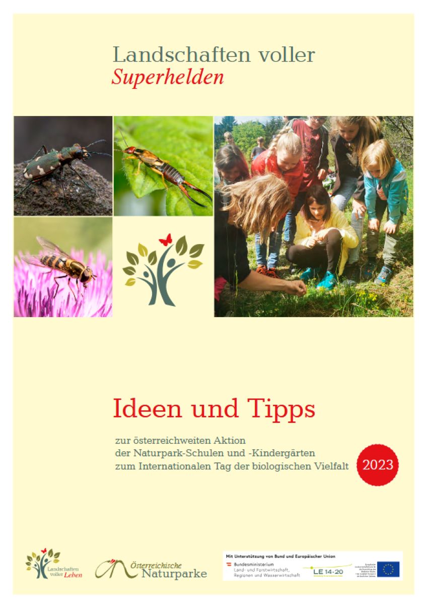 Deckblatt der Broschüre - Kinder beim Erforschen der Natur und Einzelaufnahmen von Insekten