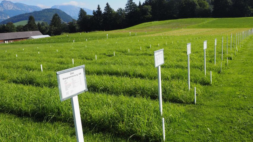Versuchsflächen von Raumberg Gumpenstein 