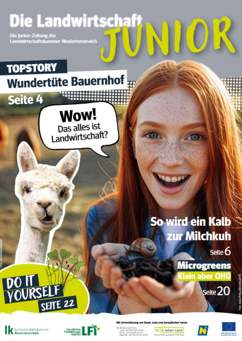 Ein Alpaka und ein Mädchen, das eine Schnecke in der Hand hält 