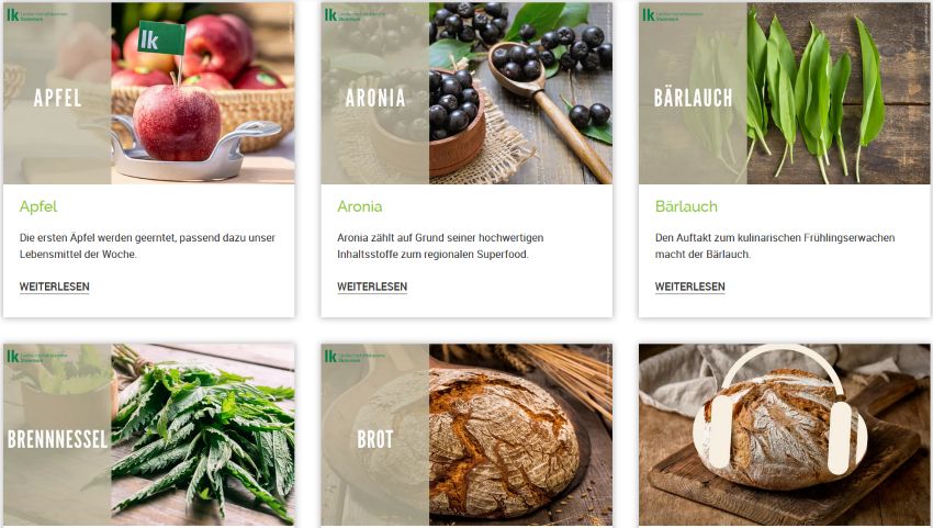 Screenshot einiger Einträge im Online-Lebensmittellexikon mit Informationen zu Lebensmitteln wie Apfel, Aronia, Bärlauch, Brennnessel und Brot