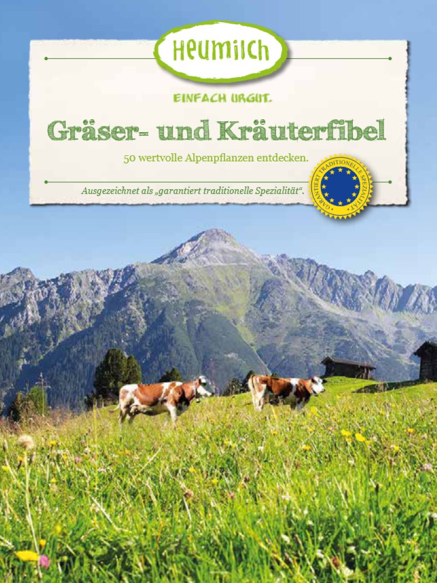 Titelbild der Broschüre zu sehen sind zwei Rinder auf einer Alm, im Hintergrund ein Berg