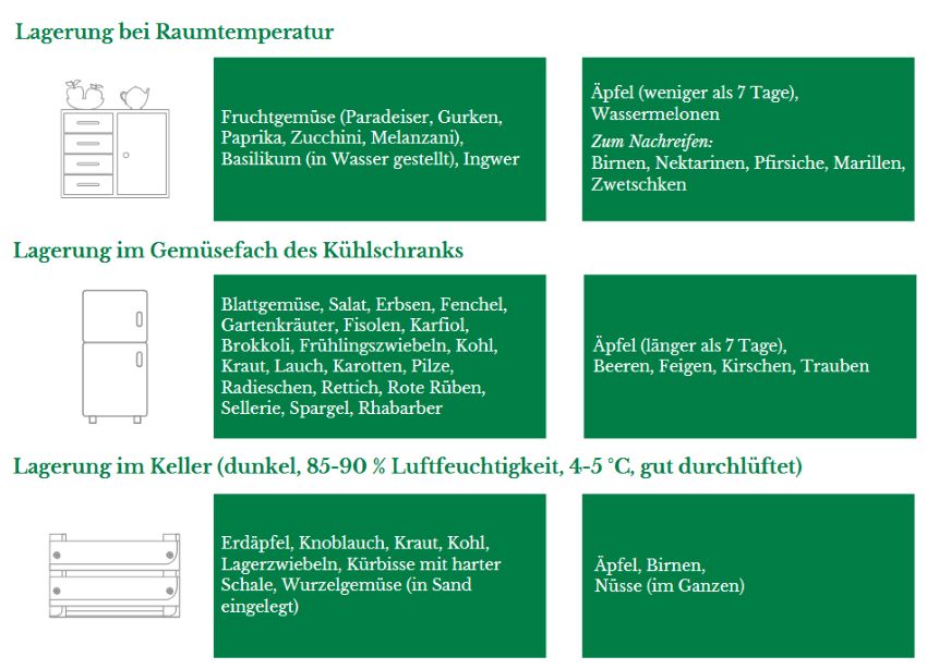 Auszug aus dem Factsheet mit Informationen zur optimalen Lagerung von Obst und Gemüse