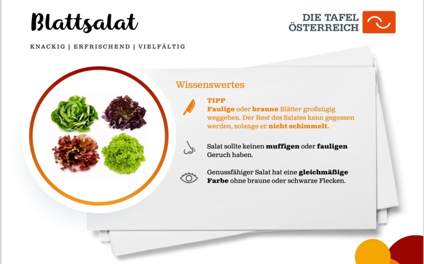 Wissenswertes zu Blattsalat über frische und Genussfähigkeit