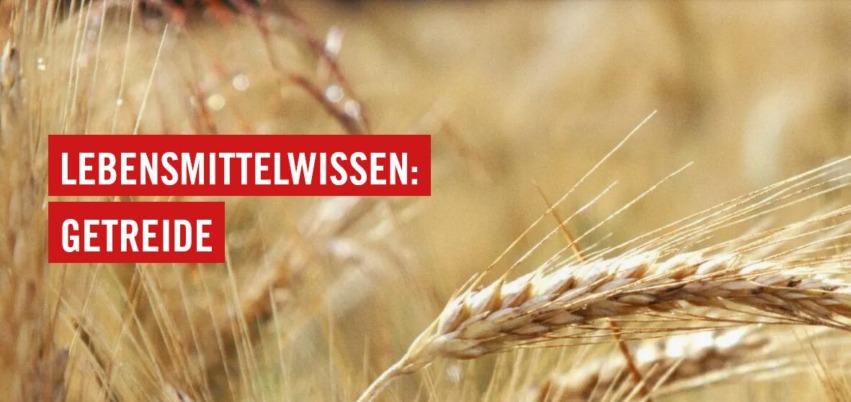 Titel Lebensmittelwissen Getreide auf einem Foto mit Getreideähren