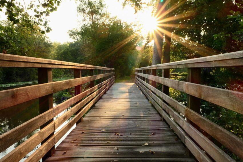 Eine Holzbrücke im Wald; die Sonne geht gerade unter