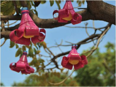 Blumen die aus recycelten Material hergestellt wurden und nun auf einem Baum hängen