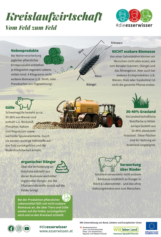 Infografik Kreislaufwirtschaft mit einem Traktor und Grafiken von Tieren, Dünger, Heuballen und Gräser