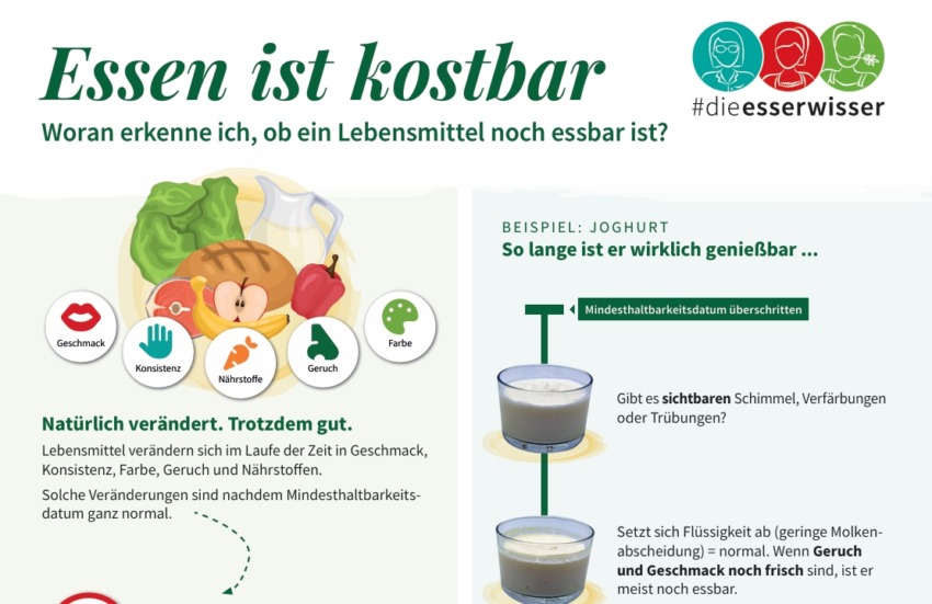 Abbildungen von Lebensmittel und Grafiken (Mund, Hand, Nase, Augen), mit deren Hilfe man prüfen kann, ob Lebensmittel noch gut sind